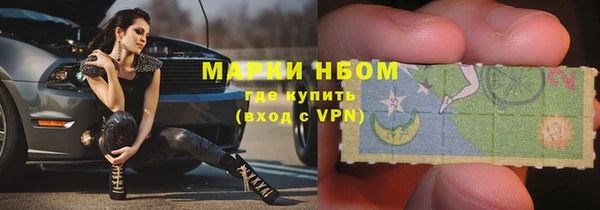 PSILOCYBIN Волосово