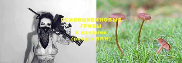 гидропоника Володарск