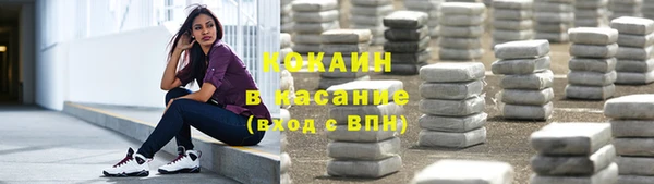 PSILOCYBIN Волосово