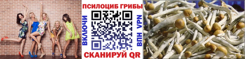 Псилоцибиновые грибы GOLDEN TEACHER  где можно купить   Невельск 